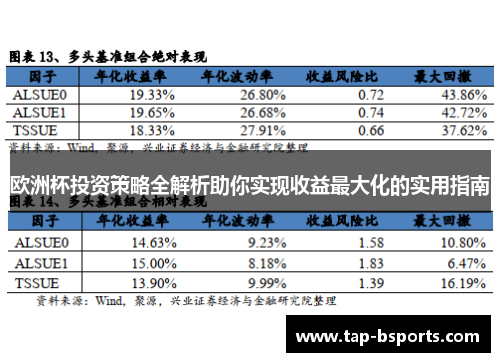 欧洲杯投资策略全解析助你实现收益最大化的实用指南