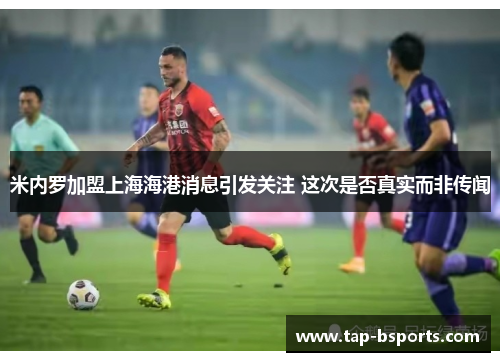 米内罗加盟上海海港消息引发关注 这次是否真实而非传闻