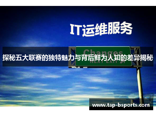 探秘五大联赛的独特魅力与背后鲜为人知的差异揭秘