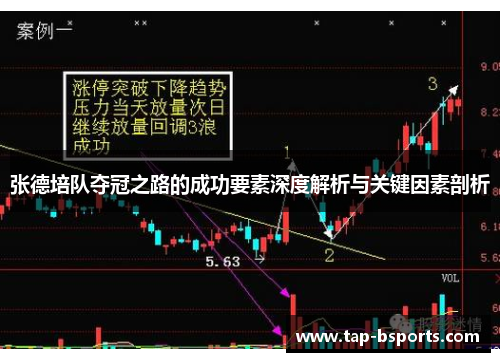 张德培队夺冠之路的成功要素深度解析与关键因素剖析