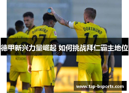 德甲新兴力量崛起 如何挑战拜仁霸主地位 德甲新兴力量崛起 如何挑战拜仁霸主地位