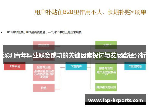 深圳青年职业联赛成功的关键因素探讨与发展路径分析
