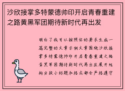 沙欣接掌多特蒙德帅印开启青春重建之路黄黑军团期待新时代再出发